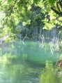/album/fotogalerie-chorvatsko-2010/chorvatsko-2007-np-krka-24-jpg/